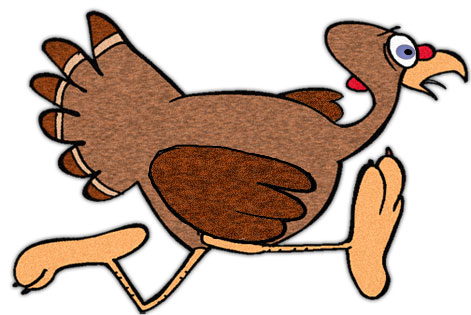 How to Cut a Raw Turkey  in  Five Easy Minutes