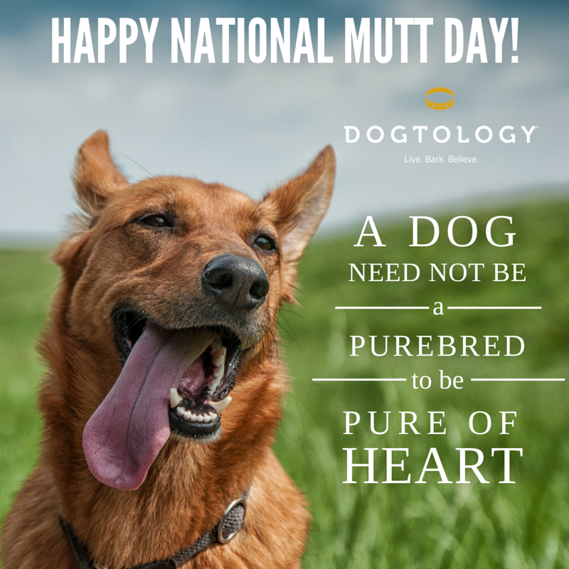 National Mutt Day